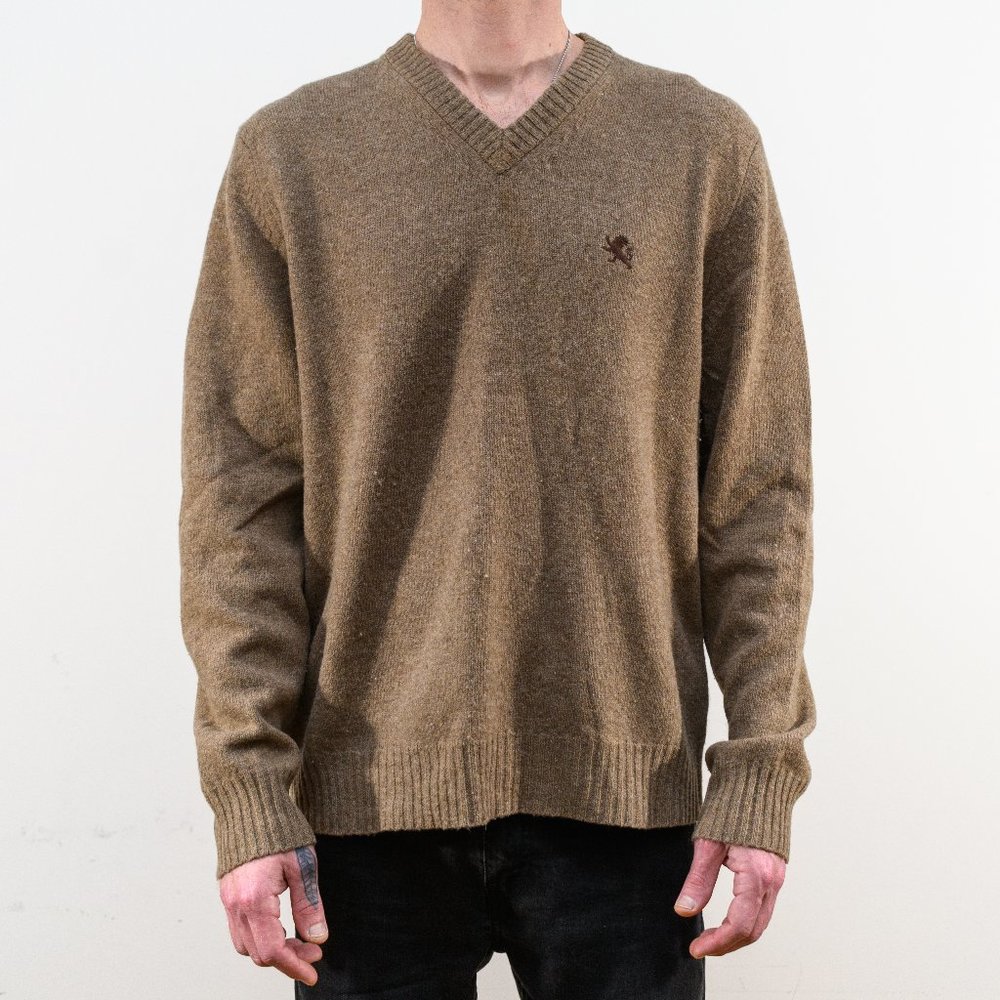 Express v-neck wool sweater